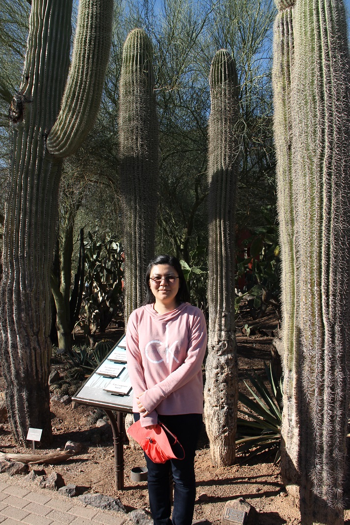 desert_botanical_garden